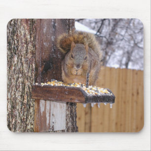 Squirrel Mousepad