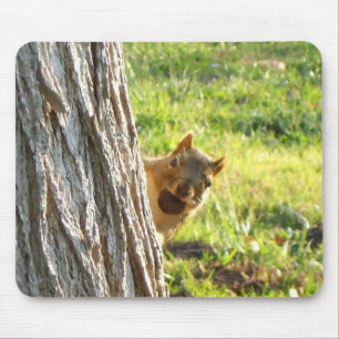 Squirrel mousepad