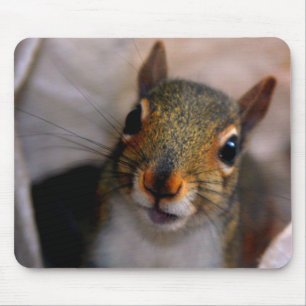 Squirrel Mousepad