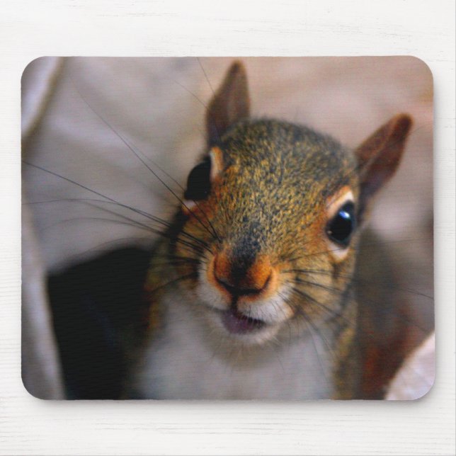Squirrel Mousepad (Front)