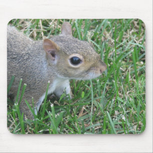 Squirrel Mousepad, featuring "Clicker" Mouse Pad