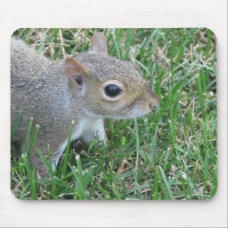 Squirrel Mousepad, featuring "Clicker" Mouse Pad
