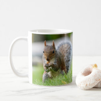 Squirrel mug - adorable gray squirrel