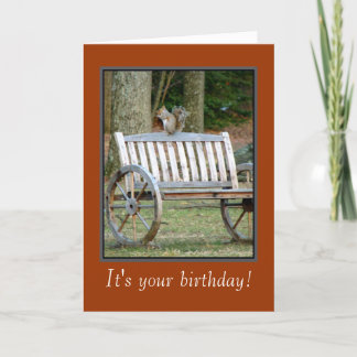 Squirrel n Nut' Birthday Card
