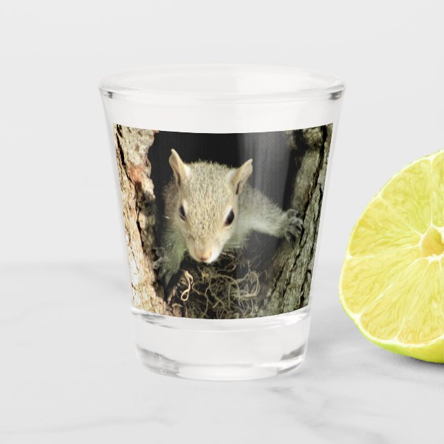 Squirrel Nest Shot Glass (Front)