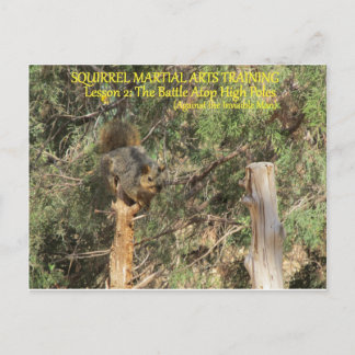 Squirrel Nnja Training Tips Postcard