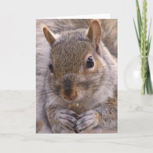 Squirrel note card