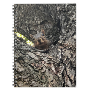 Squirrel Notebook