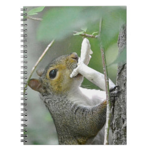 Squirrel Notebook