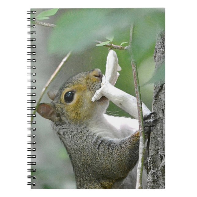 Squirrel Notebook (Front)