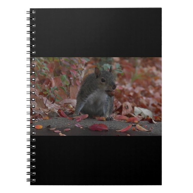 Squirrel Notebook (Front)