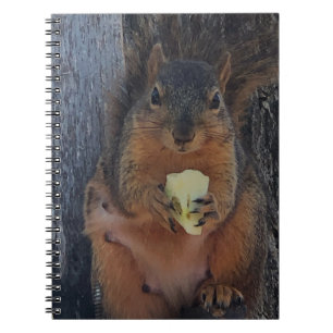 Squirrel  notebook