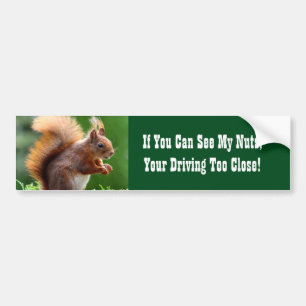 Squirrel Nuts Bumper Sticker