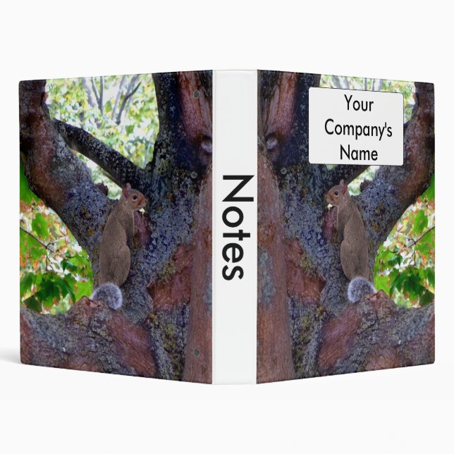 Squirrel Office Binder 1" (Background)