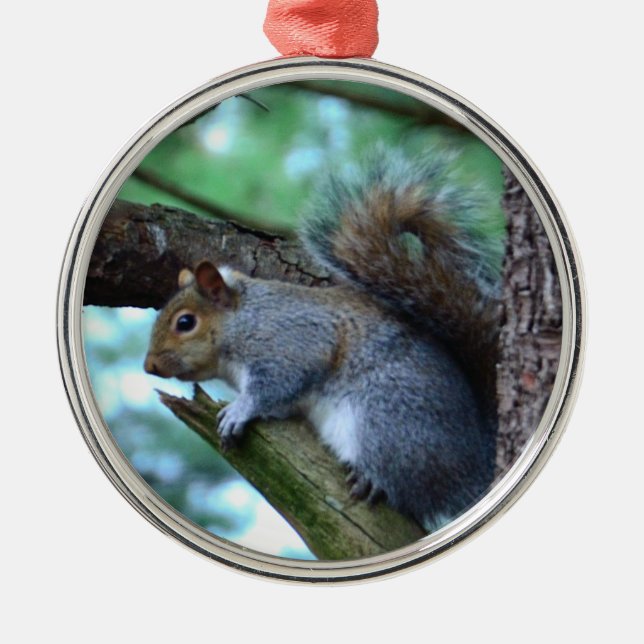 Squirrel on a branch metal ornament (Front)