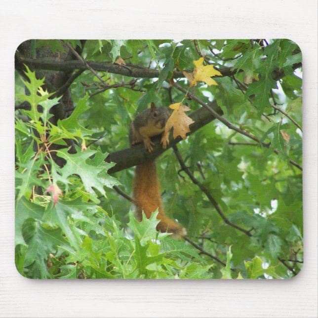 Squirrel On A Branch Mouse Pad (Front)