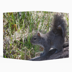Squirrel on a Log Binder