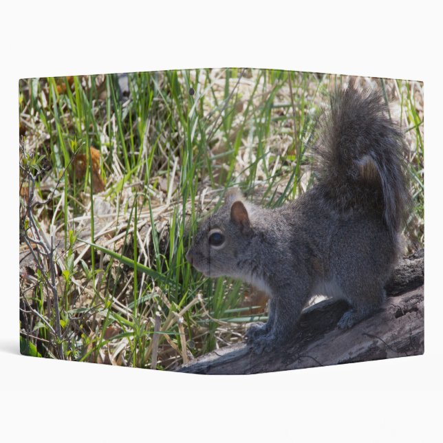 Squirrel on a Log Binder (Background)