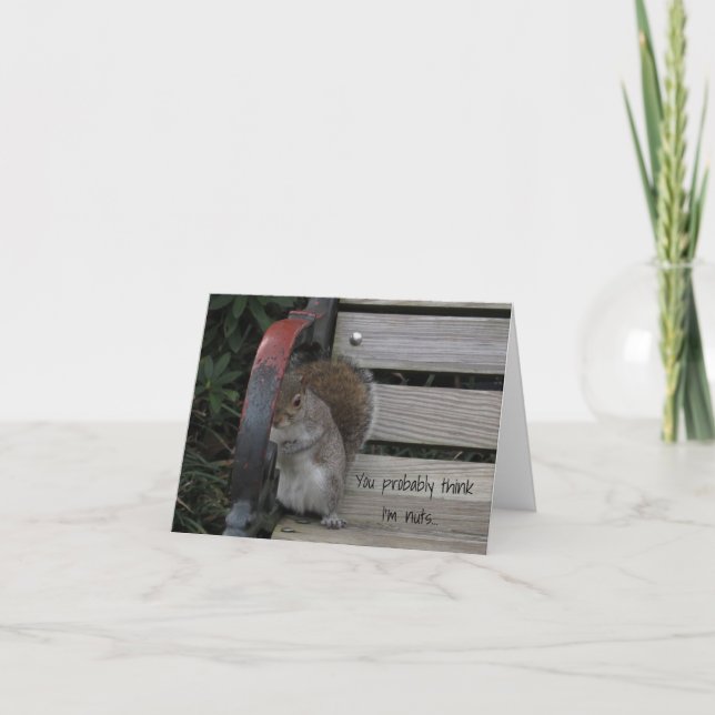Squirrel on a Park Bench Note Card (Front)