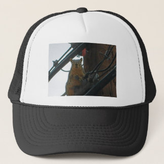 Squirrel on a Pole in Colorado Trucker Hat