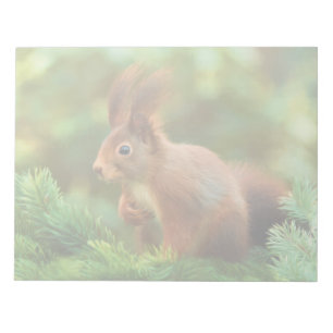Squirrel on a tree notepad