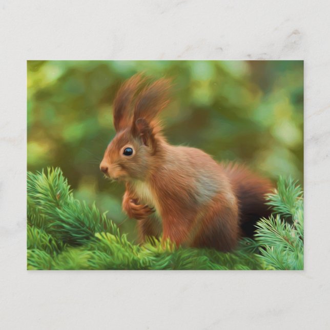 Squirrel on a tree postcard (Front)