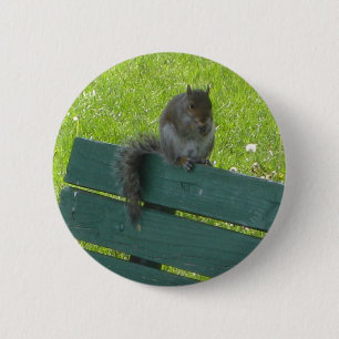 Squirrel on Bench 2 Inch Round Button