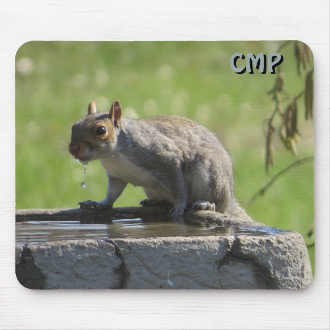 Squirrel On Bird Bath  with Your Initials  Mouse Pad (Front)