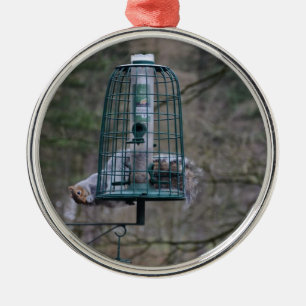 Squirrel on bird feeder metal ornament