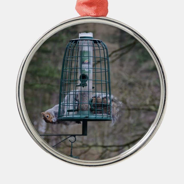 Squirrel on bird feeder metal ornament (Front)