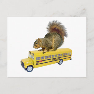 Squirrel on School Bus Postcard