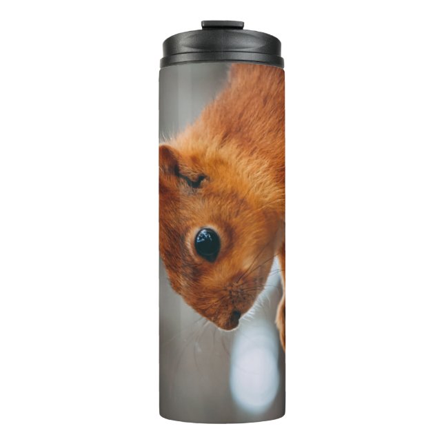 SQUIRREL ON TREE TRUNK THERMAL TUMBLER (Front)