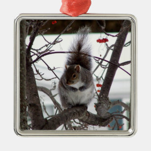 Squirrel Ornament