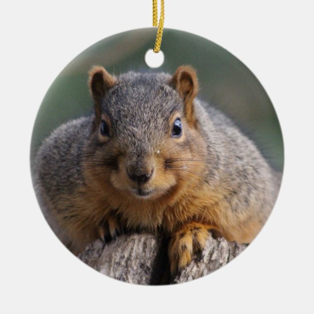 Squirrel ornament (Front)