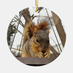 Squirrel Ornament