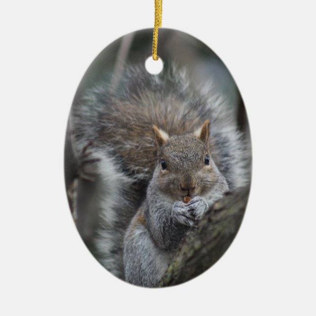 Squirrel ornament (Front)