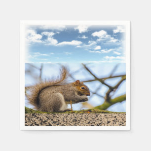 Squirrel Paper Napkins