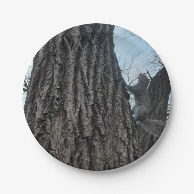 Squirrel Paper Plate (Front)