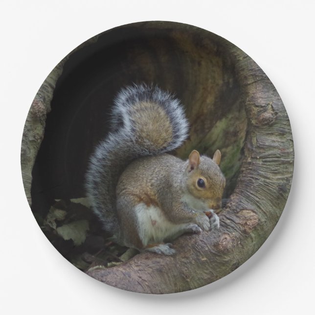 Squirrel Paper Plates (Front)