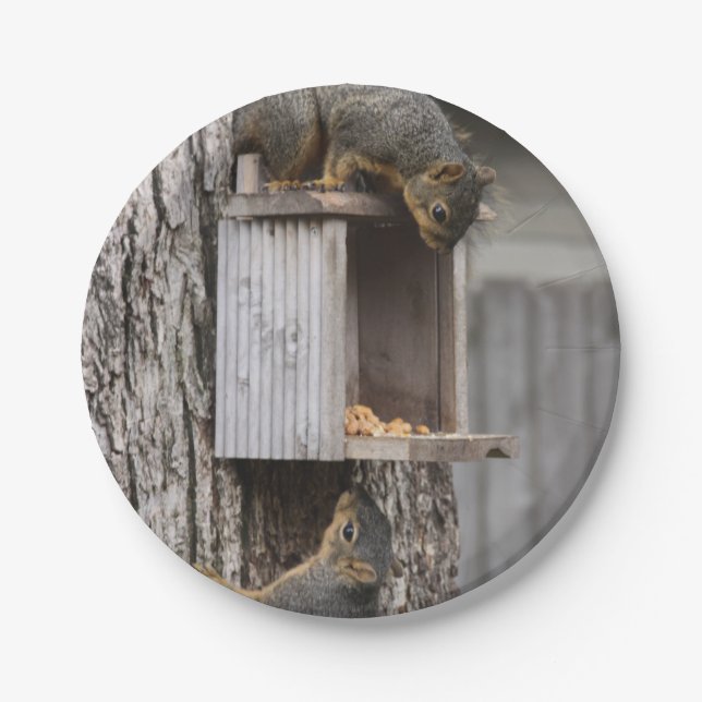 Squirrel Paper Plates (Front)
