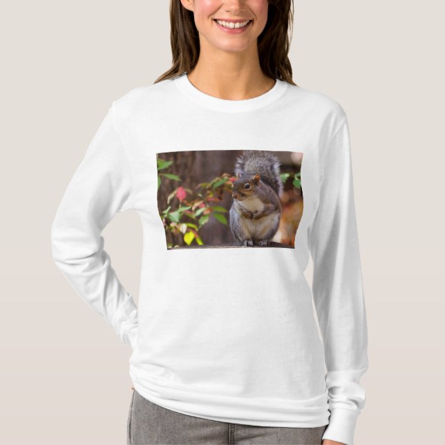 Squirrel Patiently Begs Long Sleeve T-Shirt (Front)