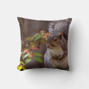 Squirrel Patiently Begs Throw Pillow