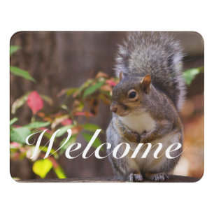 Squirrel Patiently Begs Welcome Sign