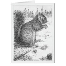 Squirrel Pen & Ink Illustration