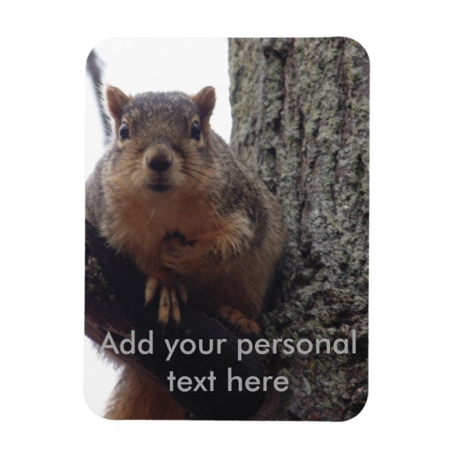 Squirrel photo magnet laminated (Vertical)