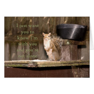 Squirrel Photography You Are Not Alone Notecard