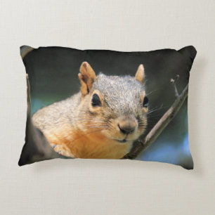 Squirrel Pillow