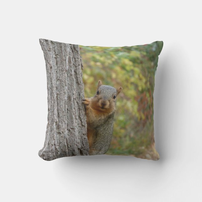 Squirrel pillow (Front)