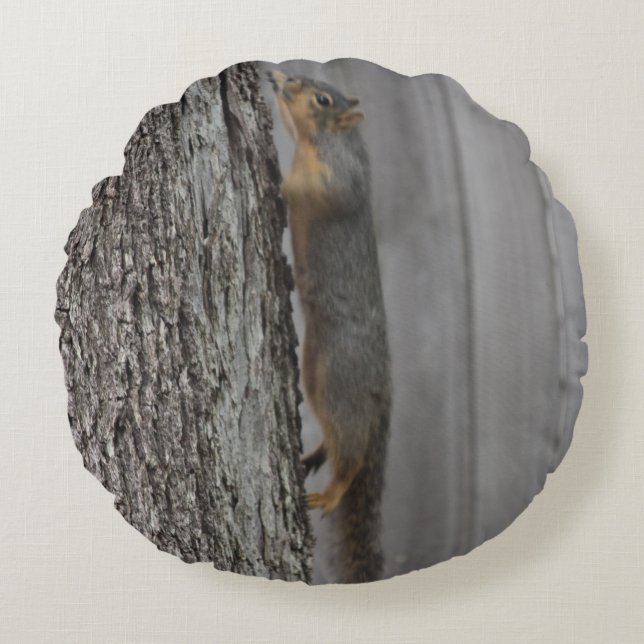 Squirrel Pillow (Front)