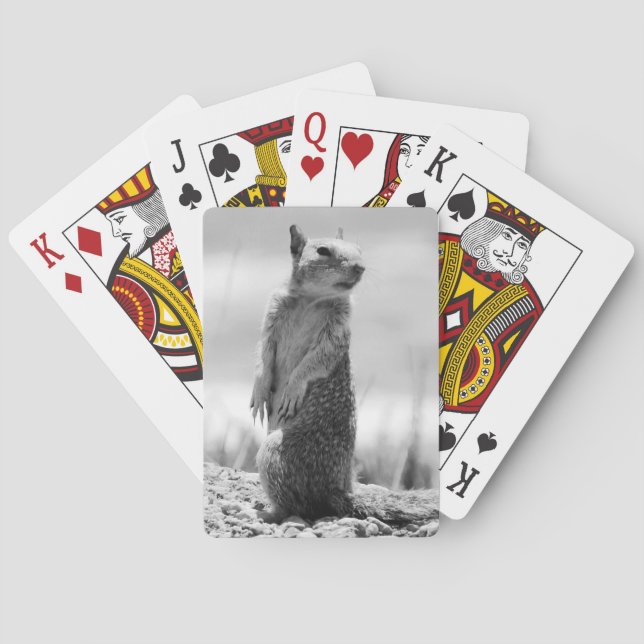 Squirrel  playing cards (Back)